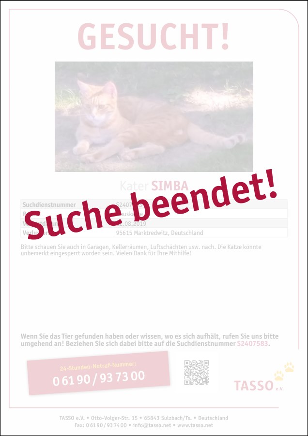 Katze Zu Dünn Katze Ist Dünn 2019 10 15